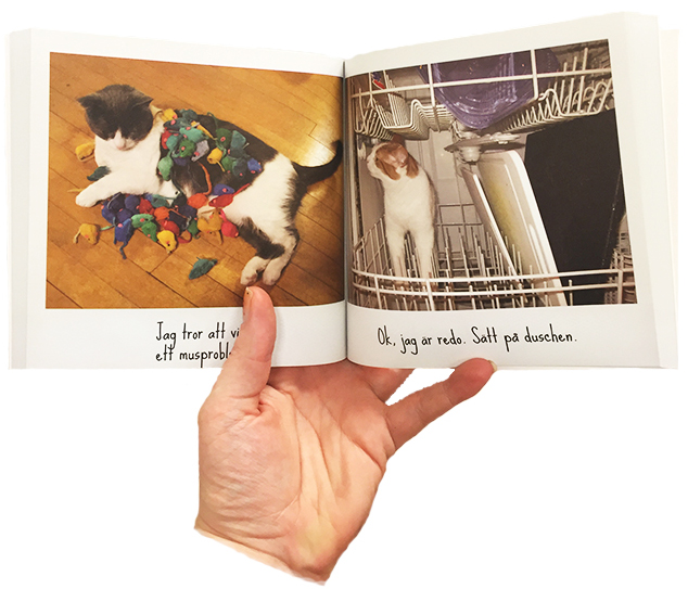 LOL-Katter - bilder på gulliga och rrroliga katter från internet (bok)